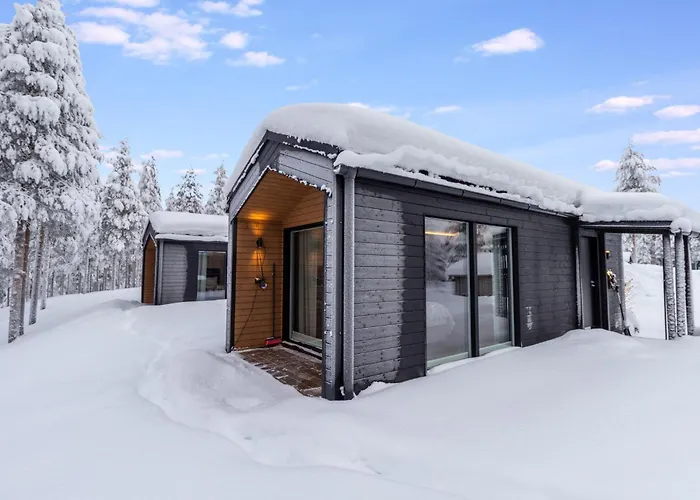 Visit Pyhae C By Interhome