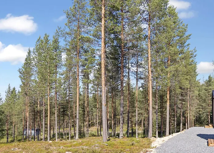 Visit Pyhae C By Interhome